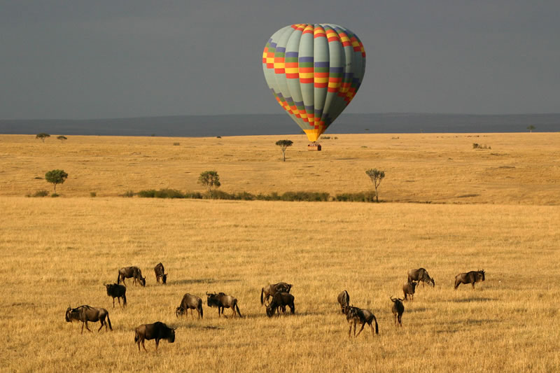 kenya-balloon-safari