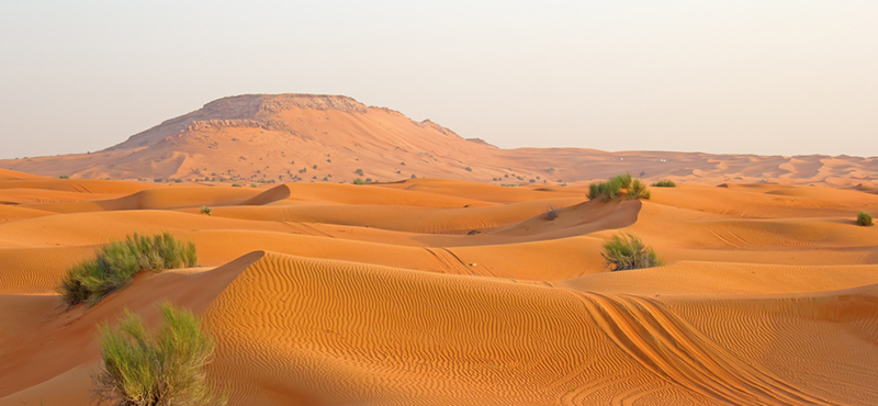 desert - top things to do in dubai