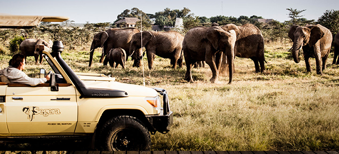 Segera Retreat - Kenya safari honeymoon - elephant