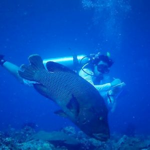 Luxury Maldives Holiday Packages SAii Lagoon Maldives, Curio Collection By Hilton Scuba Diving