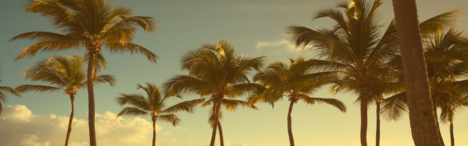 jamaica - blog - header