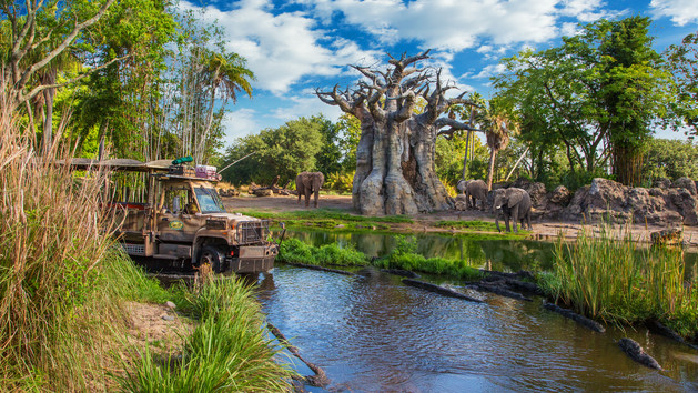 Top things to do at Disney World - Safari