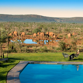 Luxury South Africa Multi Centre Holiday Packages Madikwe Safari Lodge
