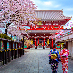 Where To Go When Luxury Holidays Japan
