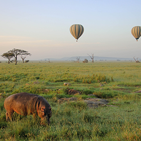 Where To Go When Luxury Holidays Tanzania