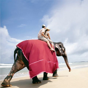 Sri Lanka and Maldives Honeymoon - Vivanta by Taj