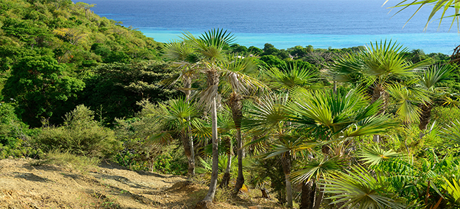 Pico Turquino Things To Do In Cuba Cuba Holidays