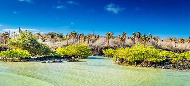 Galapagos 3 - Celebrity Eclipse - Luxury Cruise Holidays