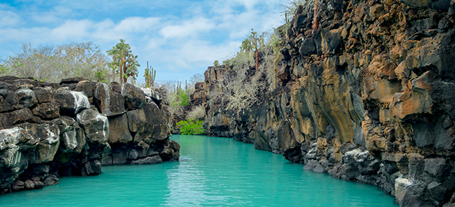 Galapagos 7 - Celebrity Eclipse - Luxury Cruise Holidays