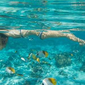 Snorkelling Crown Beach & Spa Resort Rarotonga Cook Island Holidays