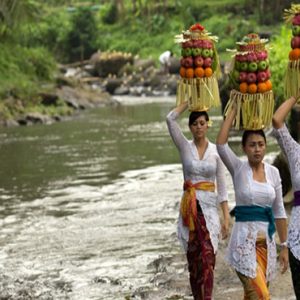 Bali holiday Packages The Samaya Ubud Ayung River