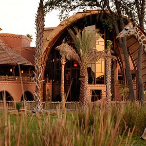 Disney's Animal Kingdom Lodge - giraffe