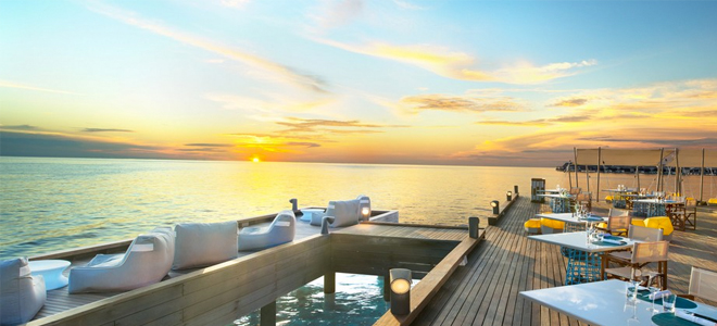 Fish - W Retreat and Spa Maldives - Luxury Maldives Holiday
