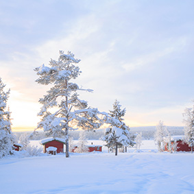 Lapland Holidays - Lapland Christmas Holidays