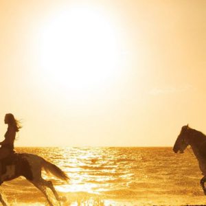 Luxury Dominican Republic Holiday Packages Secrets Royal Beach Punta Cana Horses