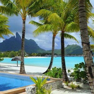 Luxury Holidays Bora Bora - St Regis Resort - Palm trees