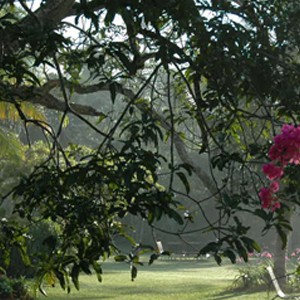 Luxury Holidays Sri Lanka - Nisala Arana - Garden 2