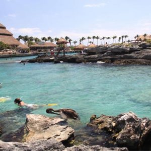 Luxury Mexico Holiday Packages Dreams Sands Cancun Resort And Spa Snorkeling