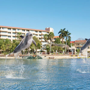 Luxury Mexico Holiday Packages Dreams Aventuras Riviera Maya Dolphin Dreams By Dolphin Discovery
