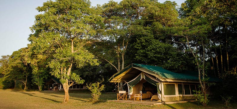 Luxury South Africa Holiday Packages Governors Camp, Kenya Family Tent