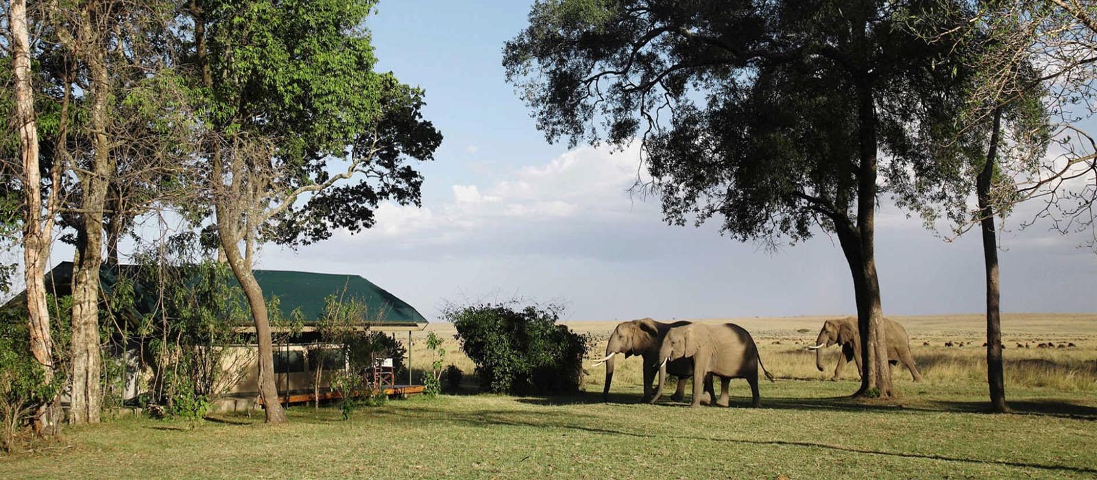 Luxury South Africa Holiday Packages Governors Camp, Kenya Header