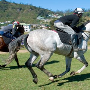 Luxury Sri Lanka Holiday Packages Jetwing St Andrews Racecourse