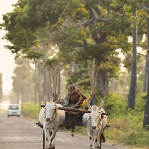 Luxury Sri Lanka Holidays Jetwing Sea Location