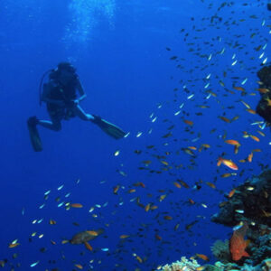 Luxury Thailand Holiday Packages Amari Phuket Scuba Diving1