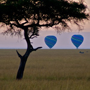 Mara-Intrepids-hot-air-balloon-safari