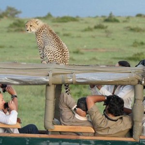 Mara-Intrepids-safari