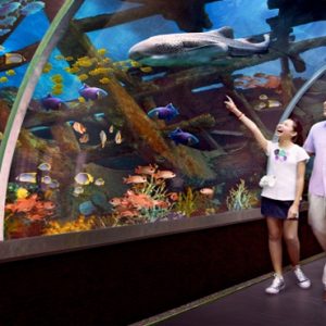 Singapore Honeymoon Packages Resorts World Sentosa, Beach Villas Aquarium