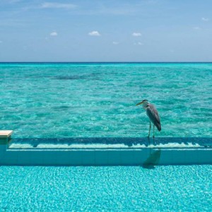 Sunset Two-Bedroom Water Suite Pool