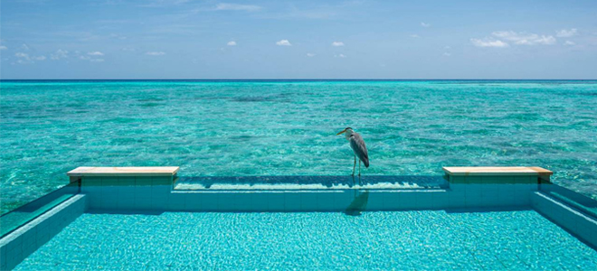 Sunset Two-Bedroom Water Suite Pool