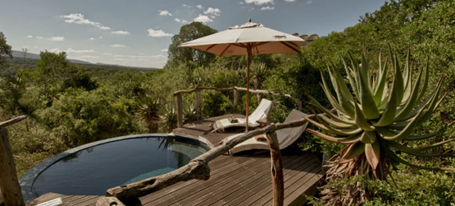 pumba-private-game-bush-lodge-plungepool