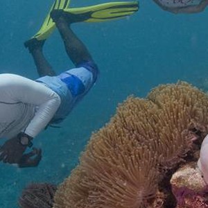 Luxury - Holidays - Maldives - Dusit Thani - Snorkelling