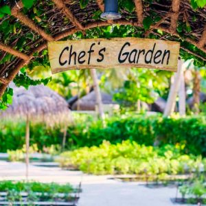 Maldives Holidays Anantara Dhigu Maldives Resort Chef's Garden
