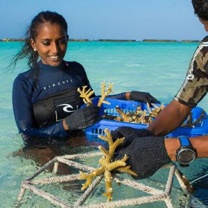 luxury Maldives holiday Packages Kurumba Maldives Coral Planting