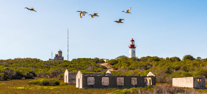 Robben-Island-South-Africa