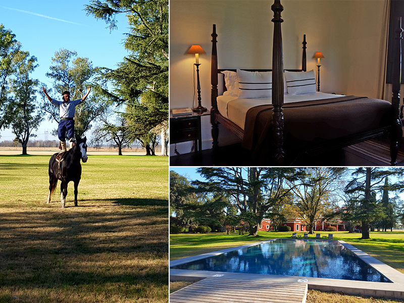 michelle embarks on the best south africa tours - the ranch