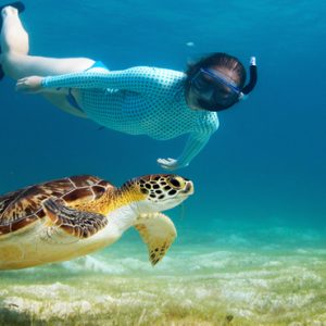 Turtle And Manta Snorkelling Cinnamon Dhonveli Maldives Holidays