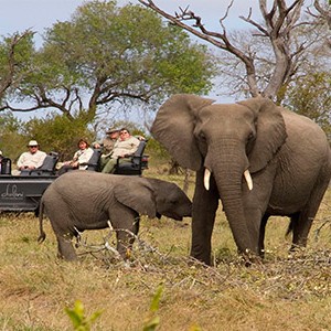 Dulini Lodge - South Africa holidays - safari