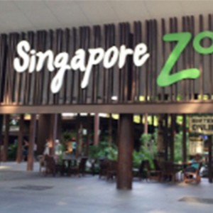 Pan pacific - Singapore holiday - Singapore zoo