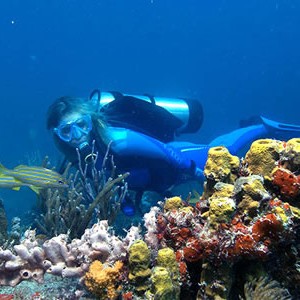 Petit-St-Vincent-Diving