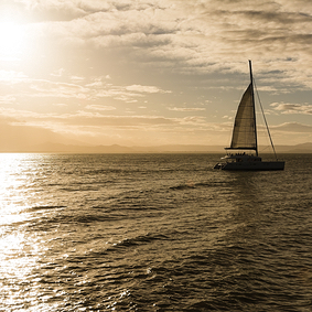 catamaran antigua