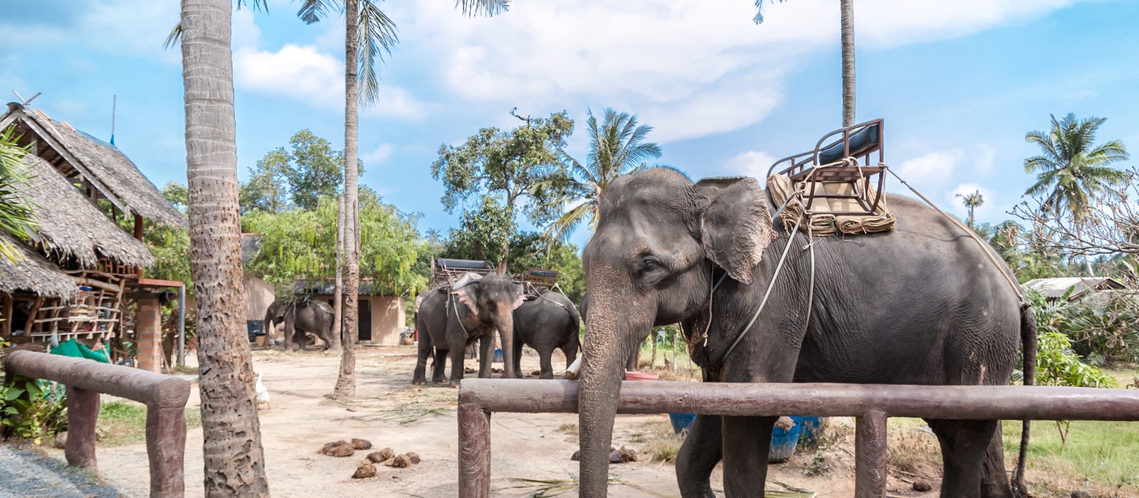 koh samui jungle tour