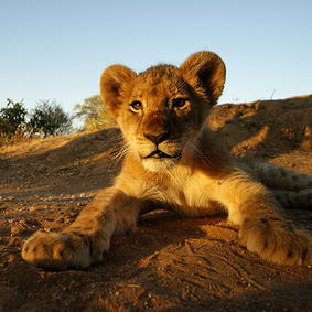 Kruger National Park