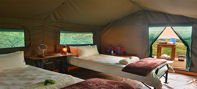 Shamwari Game Reserve - South Africa - Explorer camp - beds