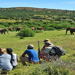 Shamwari Game Reserve - South Africa - Explorer camp - walking