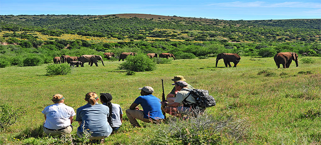 Shamwari Game Reserve - South Africa - Explorer camp - walking