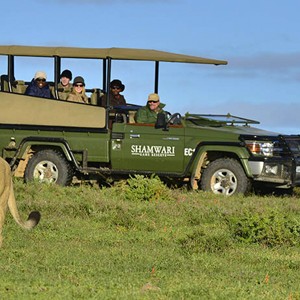 Shamwari Game Reserve - South Africa - Lions